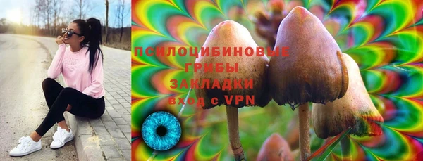 PSILOCYBIN Белокуриха